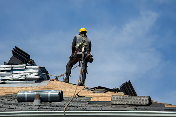 Professional Storm Damage Roof Repair technician working in Norlina, NC
